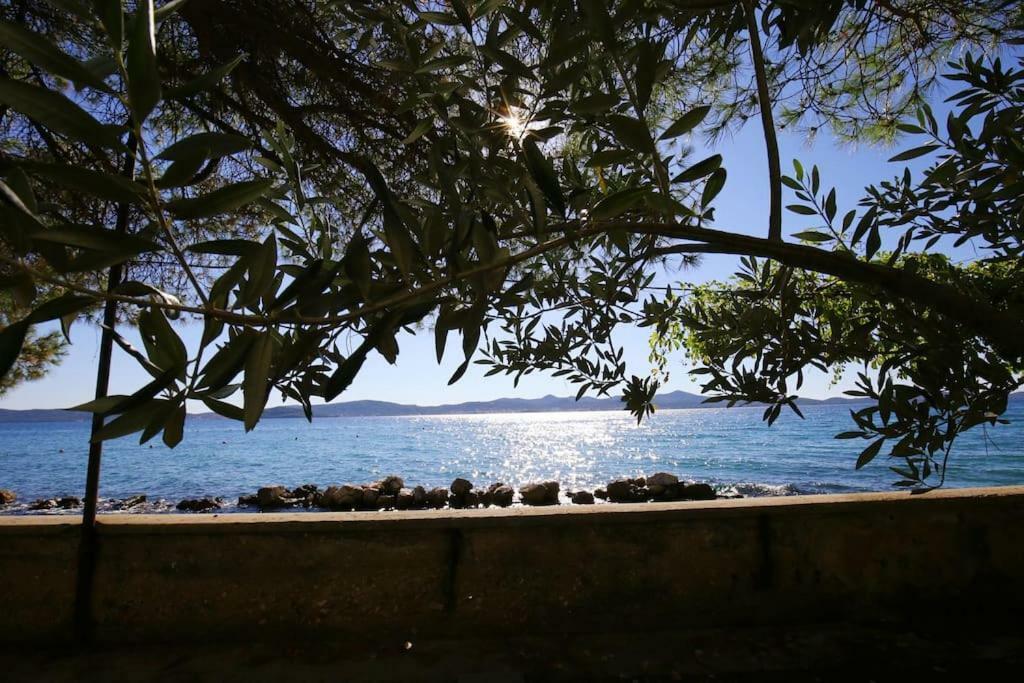 Seafront Beach Apartment - Directly At The Beach زادار المظهر الخارجي الصورة